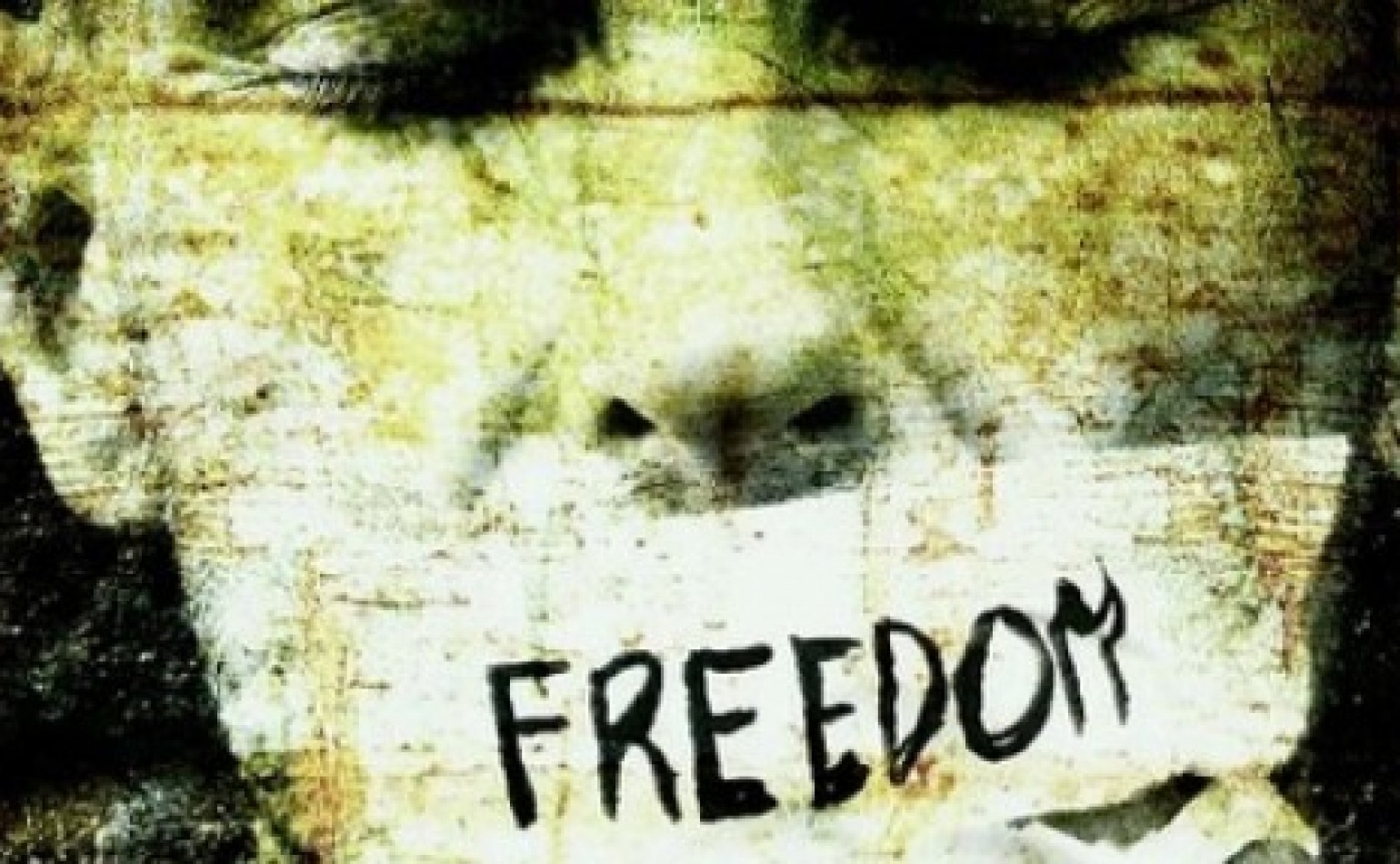 MMfD condemns disappearances of known writers and bloggers; demands swift action by the Government for safe and urgent recovery of the missing