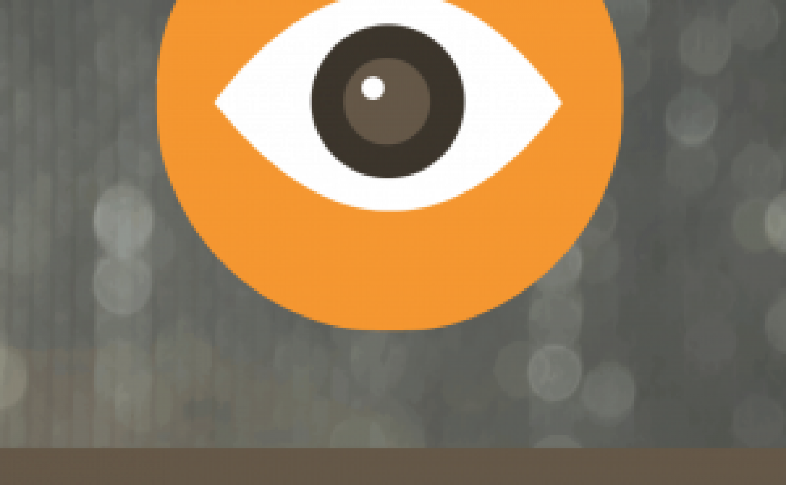Understanding Internet Rights: A Field Guide for Reporters in Pakistan